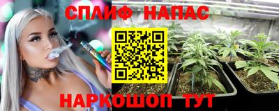 прущие грибы Бузулук