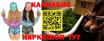 крисы Будённовск