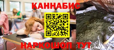 крисы Будённовск