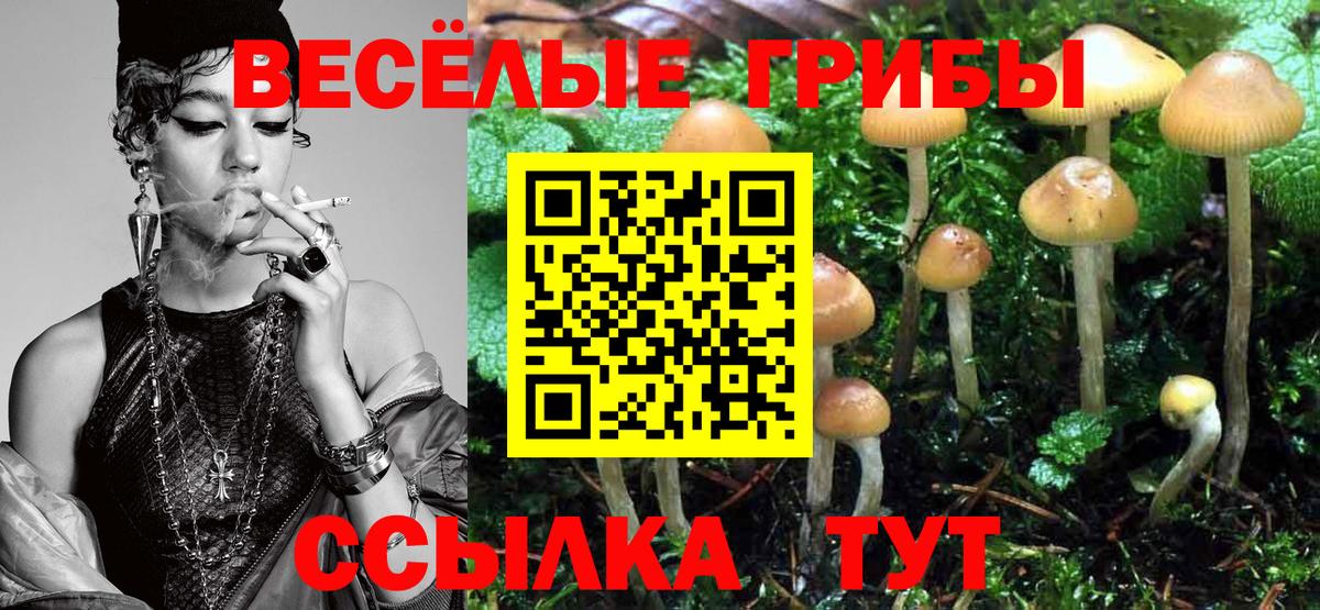 Псилоцибиновые грибы мицелий  Дзержинский 