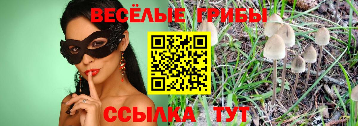 Галлюциногенные грибы ЛСД  Галлюциногенные грибы Cubensis  Вход с VPN  Дзержинский 